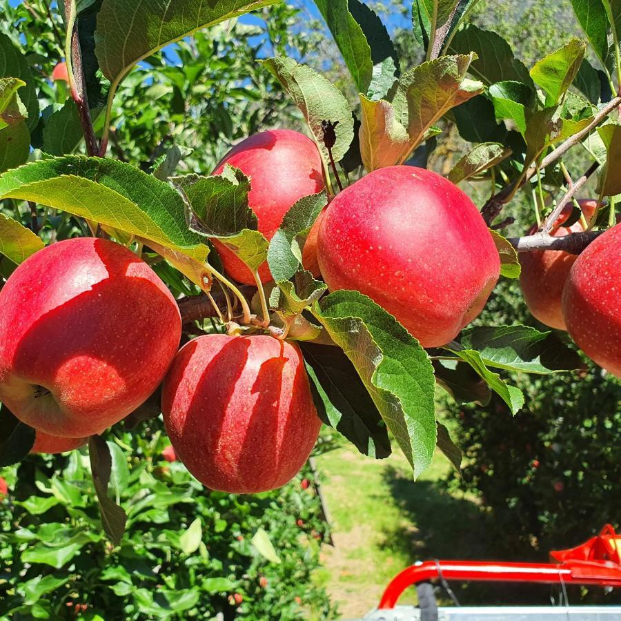 Mareinhof Vetzan-Apples,Apartment&More Silandro Ngoại thất bức ảnh