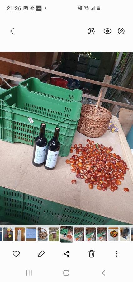 Mareinhof Vetzan-Apples,Apartment&More Silandro Ngoại thất bức ảnh